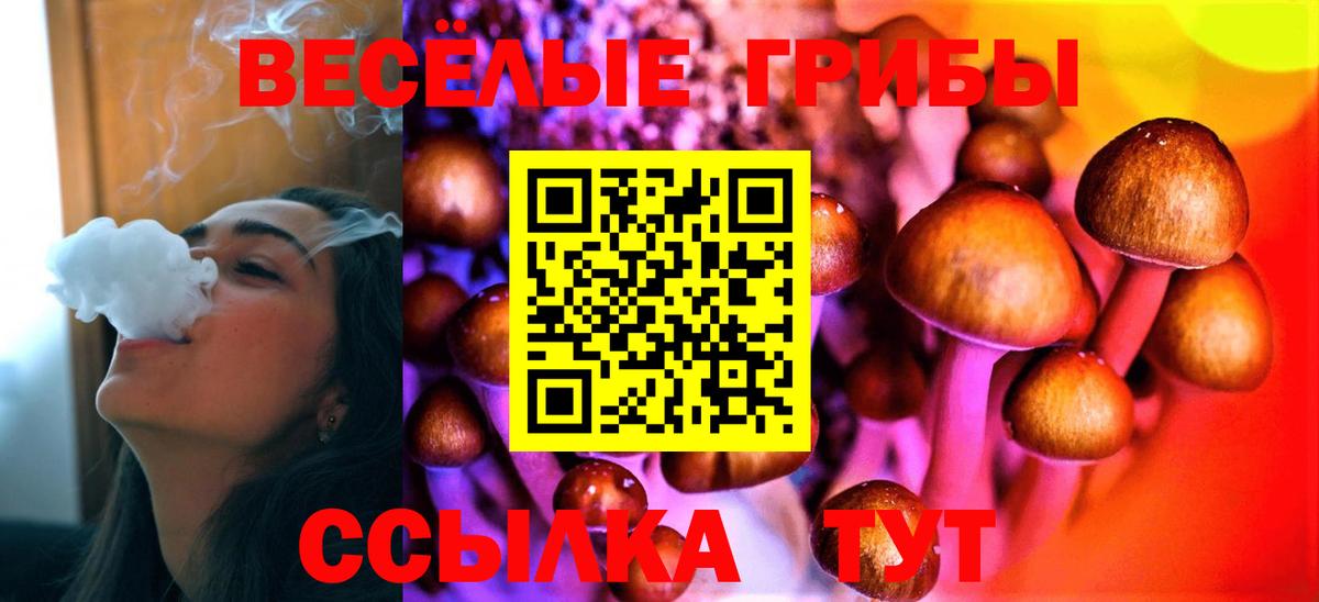 Псилоцибиновые грибы Psilocybine cubensis  Вход с VPN  Псилоцибиновые грибы прущие грибы  наркота  Балтийск 